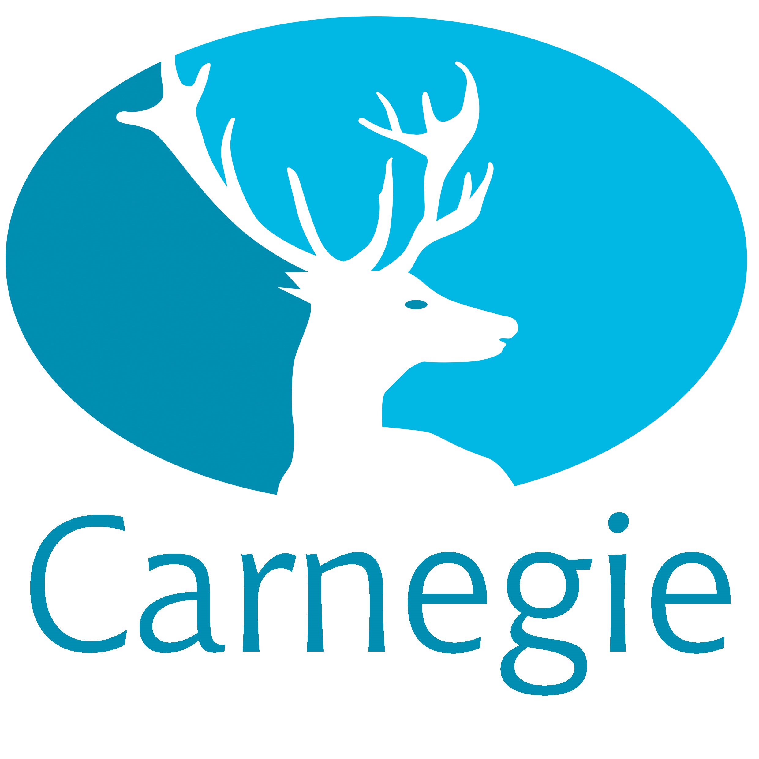 Why Carnegie?